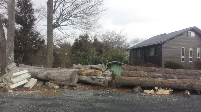 11700681_835453513203074_4153867572687865306_o